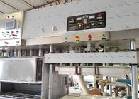 Máquina de fatura de placa moldada do papel da polpa para a linha de produção de funcionamento fácil de Ecowares