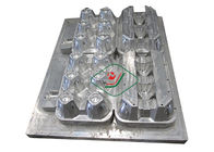 Molde da polpa dos assentos do alumínio 12/caixas moldadas do ovo da polpa com processo do CNC