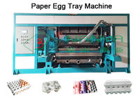 Bandeja de papel elétrica do ovo que faz a máquina/linha de produção industrial da bandeja do ovo