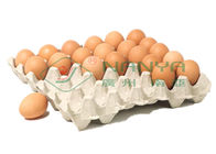 linha de produção da bandeja do ovo 100kw