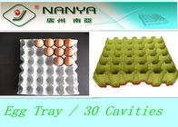 Polpa biodegradável bandeja descartável moldada do ovo dos produtos com 30 cavidades