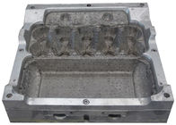 O molde de alumínio feito sob encomenda da polpa/morre para a caixa de ovo de 10 pilhas/caixa do ovo