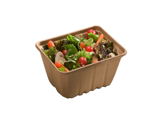 Caixa do fast food/utensílios de mesa descartáveis que fazem a secagem da máquina no molde 7000Pcs/H