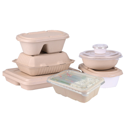 Equipamento do molde da polpa dos utensílios de mesa do Dishware do nível superior totalmente automático