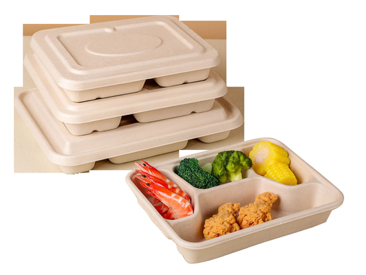 Máquina de molde automatizada da polpa dos utensílios de mesa cana-de-açúcar sustentável