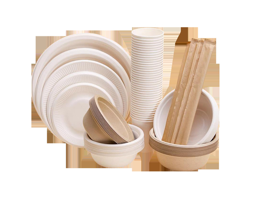 Máquina de molde automatizada da polpa dos utensílios de mesa cana-de-açúcar sustentável