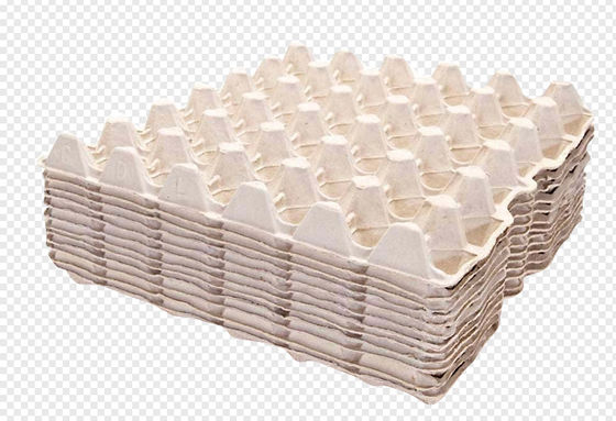 Máquina automática de fazer bandejas de papel de cartão de ovo 1800pcs / h