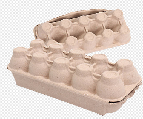 Bandeja do ovo do molde da polpa da papelada/caixa/máquina da cartonagem com uma sala de secagem