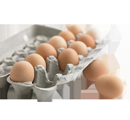 Maquinaria de papel moldando da bandeja do ovo da polpa totalmente automático durável com CE