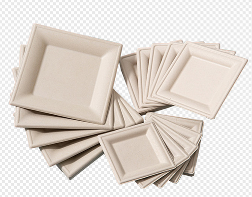 Equipamento desde 1800 ~18000Pcs/H do molde dos utensílios de mesa da celulose do Virgin/polpa do Dishware
