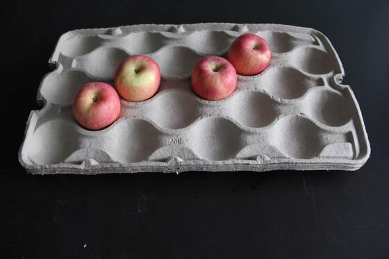 A capacidade média recicla a bandeja de papel do ovo que faz a máquina com secador