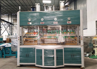 Máquina de molde da celulose da máquina/fruto de Thermoforming da polpa da eletrônica