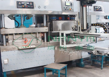 máquina de molde oval da bacia da lancheira da celulose com auto robô