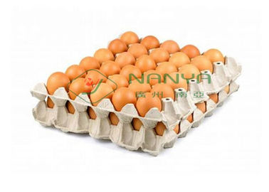 Celulose que molda automaticamente bandejas/a máquina médicas 4000Pcs da fabricação bandeja do ovo pela hora