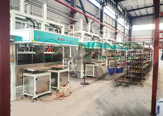 Reduza a polpa o pacote moldando Tray Making Machine industrial da prova de choque