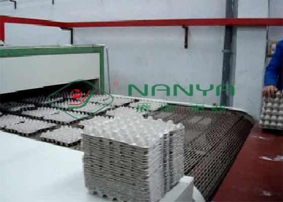 Eco - máquina de factura de caixa amigável do ovo constituída pelo sistema de Hydrapulper