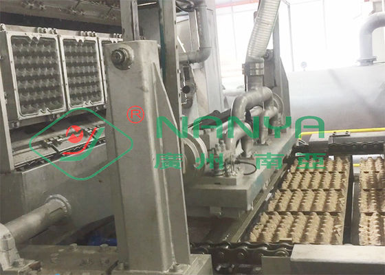 bandeja giratória automática do ovo de 6000 pcs/hr/equipamento moldando caixa de ovo