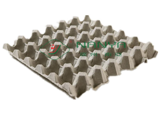 A polpa moldou 600m2 o ovo de papel Tray Manufacturing Machine
