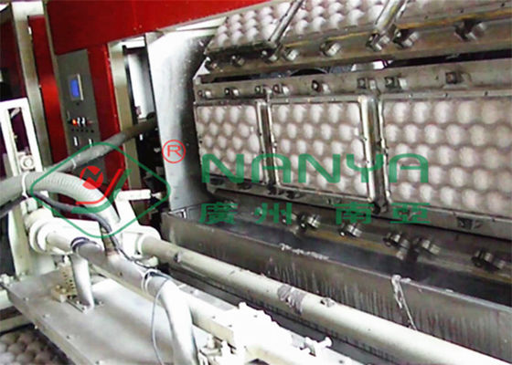 as bandejas do fruto 250kw Eggs a bandeja que faz a máquina para limpar a sucção 600m2