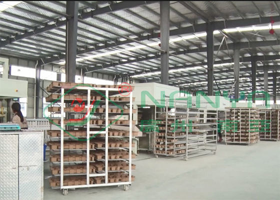 Reduza a polpa a prova moldada 450V Tray Molding Machine de choque da inserção