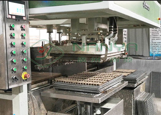 Tevê que empacota 80kg/h a polpa eletrônica Tray Machine