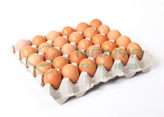 Egg a bandeja/do suporte da polpa do molde copo giratório de papel descartável do equipamento com CE