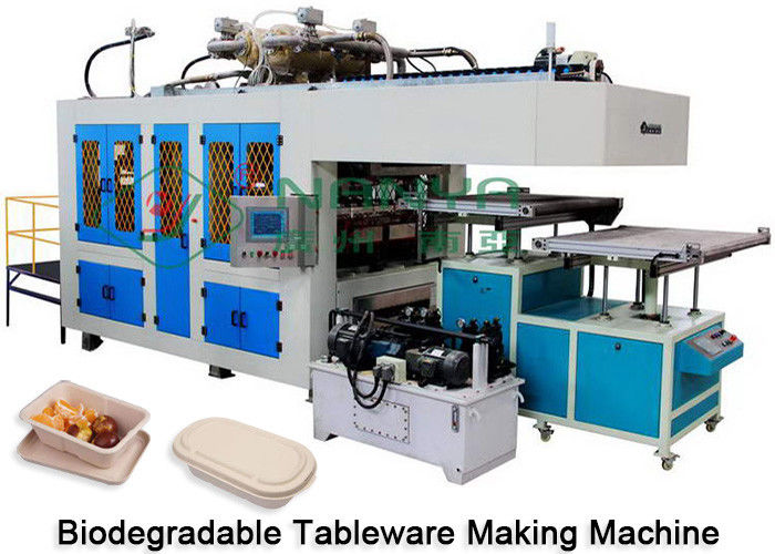 Máquina de fabricação de artigos de mesa de papel de pasta de papel Secagem e corte em molde Certificado CE