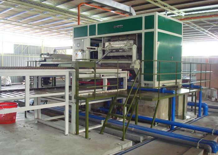 Máquina moldando da bandeja do ovo da polpa automática com linhas de secagem 3000pcs de 6 camadas pela hora