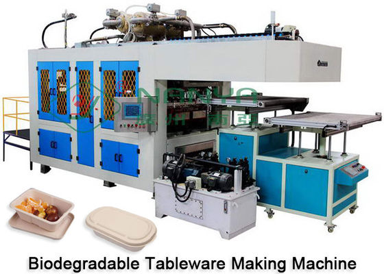 Máquina de fabricação de artigos de mesa de papel de pasta de papel Secagem e corte em molde Certificado CE