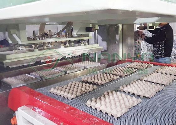Máquina de moldagem de celulose para cartão de ovo de codorna moldado em papel branco descartável / bandeja de ovos com 90 cavidades