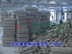 Máquina de moldagem de celulose a quente