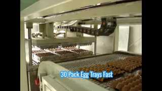 Pequena máquina automática de moldagem de polpa para bandeja de ovos / Máquina de bandeja de ovos pequena / Máquina de bandeja de ovos 30 embalada
