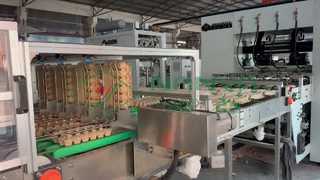 Máquina de fabricação de caixa de ovos totalmente automática/bandeja de ovos de produção em massa/fabricação de caixa amchine