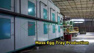 Máquina de fazer bandejas de ovos totalmente automática/produção em massa de bandejas de ovos/fabricação de papelão amchine