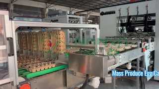 Máquina de fabricação de caixa de ovos totalmente automática/bandeja de ovos de produção em massa/fabricação de caixa amchine